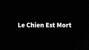 Free download Le Chien est Mort _ Short Film [2021].mp4 video and edit with RedcoolMedia movie maker MovieStudio video editor online and AudioStudio audio editor onlin